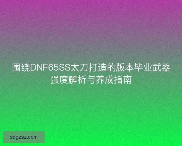 围绕DNF65SS太刀打造的版本毕业武器强度解析与养成指南
