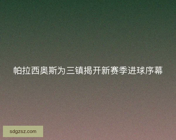 帕拉西奥斯为三镇揭开新赛季进球序幕
