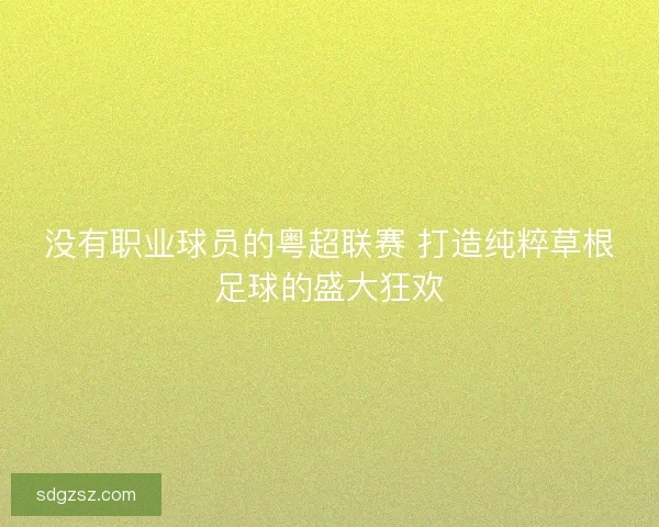 没有职业球员的粤超联赛 打造纯粹草根足球的盛大狂欢